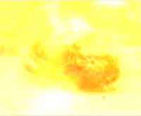 ... and they EXPLODED!!!